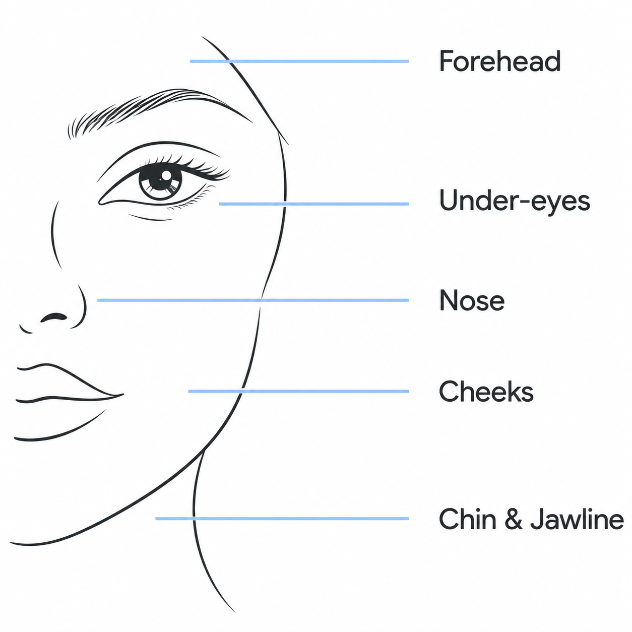 SkinDosed facial treatment area illustration labeling the forehead, under-eyes, nose, cheeks, chin and jawline